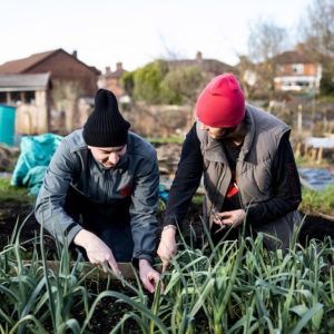 Forfutures allotment group